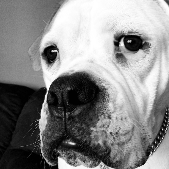 Meet your Posher, Kara - Picture 1 of 1